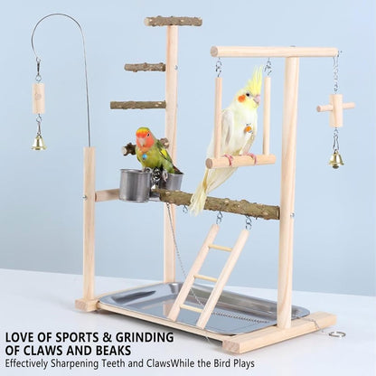 Bird Playground Parrot Playstand Bird Perch Stand Gym Natural Wood Play Stand with Swing Ladder Feeder Cups for Parakeets Cockatiels Lovebirds Conures Budgies