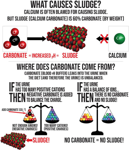 Sherwood Pet Health Adult Guinea Pig Food - Free Choice Timothy Pellet-4.5lbs