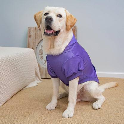 KOOLTAIL Basic Dog Hoodie - Soft & Warm Dog Hoodie Sweater with Leash Hole and Pocket, Dog Winter Coat, Cold Weather Clothes Sweatshirt for Small Medium Large Dogs Puppy Cat Boys Girls Purple XL