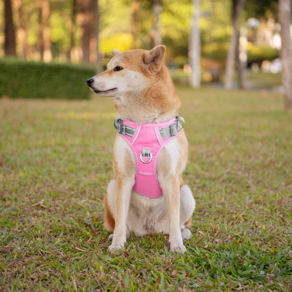 PHOEPET No Pull Dog Harness, Unique Colors Reflective Adjustable Dog Vest, with Soft Training Handle Metal Clips for Small Medium Large Dogs (Baby Pink Base & Grey Straps,L)