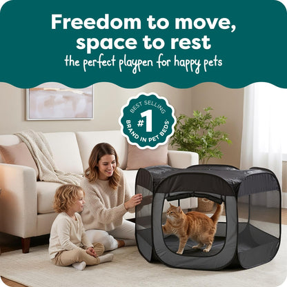 FurHaven Soft. Chosen for real quality, fits naturally into modern pet homes.