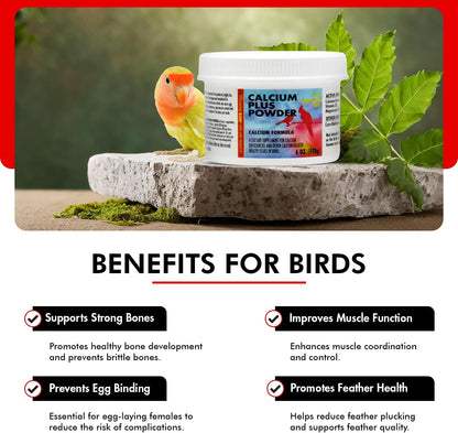 Morning Bird Calcium Plus Powder for Birds 6 oz – Calcium Carbonate Powder with Magnesium Glycinate & Vitamin D – Bone Strength & Immune Support Supplement – Calcium Formula for All Bird Sizes