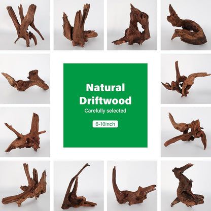 Driftwood for Aquarium Natural Aquarium Wood for Aquascaping Fish Tank Decorations Reptile Tank Decor (Natural Driftwood 6-10" (Pack of 3)+Protein Cotton)