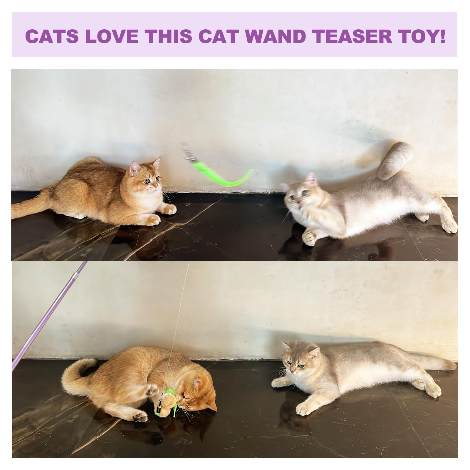 ZeyZoo Cat Toys for Indoor Cats. Chosen for real quality, fits naturally into modern pet homes.