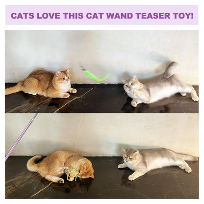 ZeyZoo Cat Toys for Indoor Cats. Chosen for real quality, fits naturally into modern pet homes.