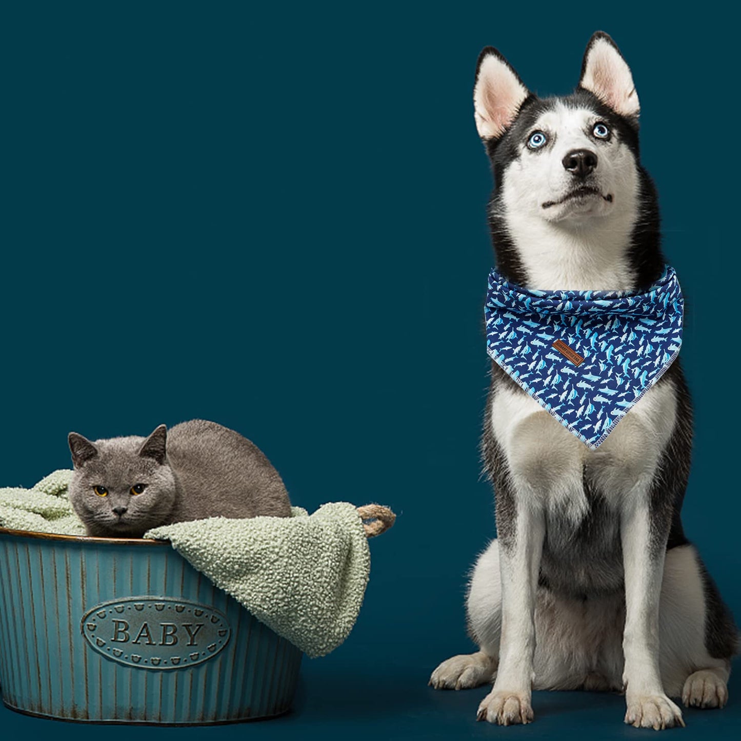 Elegant Little Tail Dog Bandana. Chosen for real quality, fits naturally into modern pet homes.