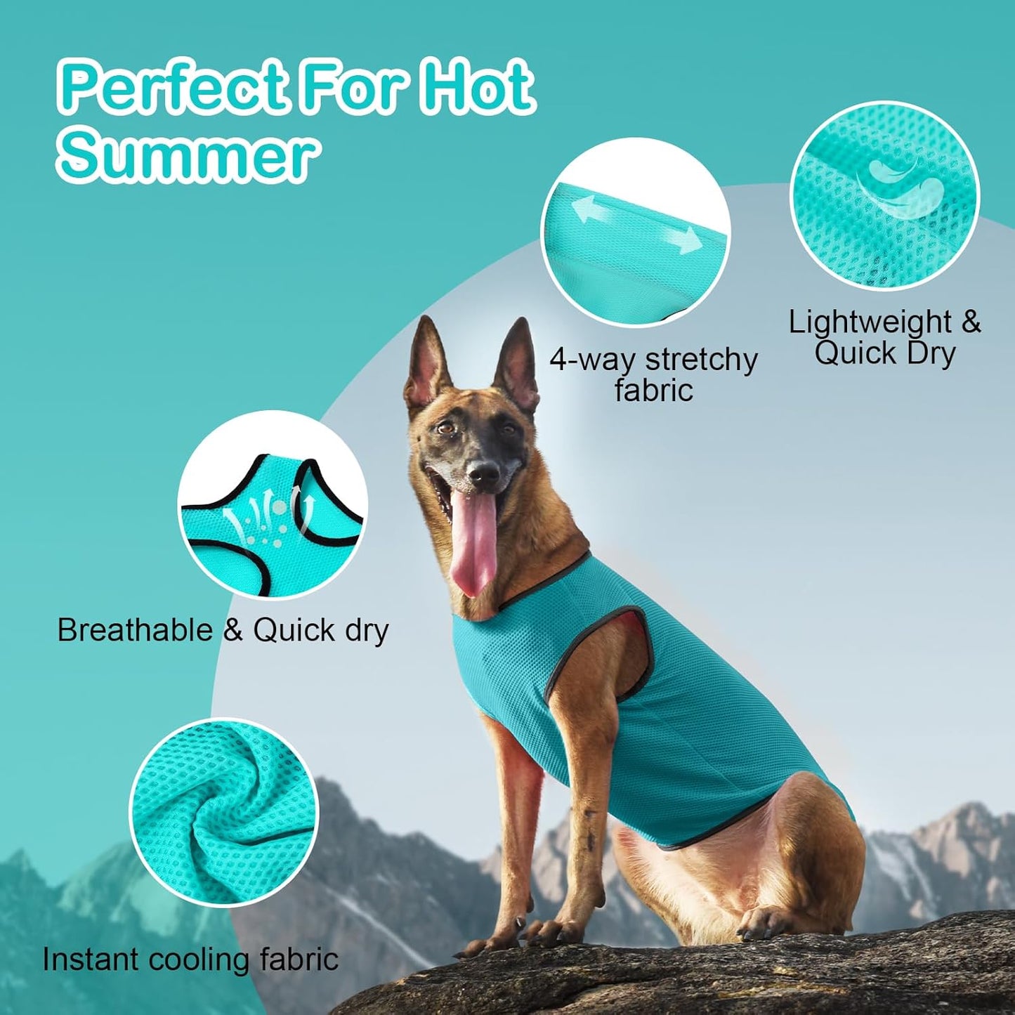 2 Pack Cooling Shirts for Dogs, Lightweight Mesh Breathable Dog Clothes for Large Dogs Boy Girl,Sports Fan Pet T-Shirts for Dog&Cat Puppy Vest Pet Apparel - XXL