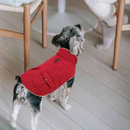 Queenmore Warm Dog Coat, Cold Weather Puffer Jacket with Ultra Thick Plush Lining and Storage Pockets (Red, Medium)