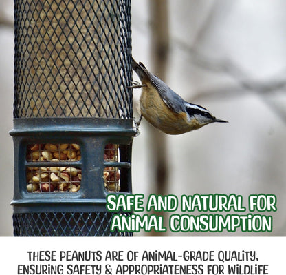 Premium Quality- 25 Pound Raw Peanuts in Shell – All-Natural Food for Squirrels, Deer, Birds, and Other Wildlife Animals – Bulk Wholesale Bag – Grown in The USA for Healthy Nutrition