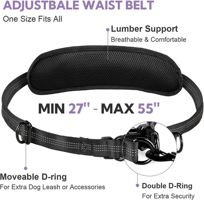 Hands Free Dog Leash with Pouch, Double Leash for Two Dogs, Retractable Bungee with Double Padded Handles, Dog Waist Leash for Dog Walking, Running Leash for Dogs, Dog Walking Accessories
