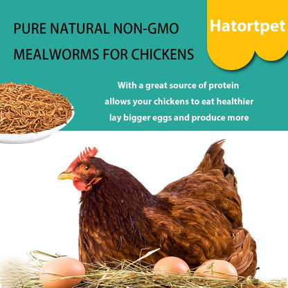 Dried Mealworms 5LB Pure Natural Non-GMO Mealworms for Chickens High Protein Chickens Feed Meal Worms for Laying Hens Wild Birds