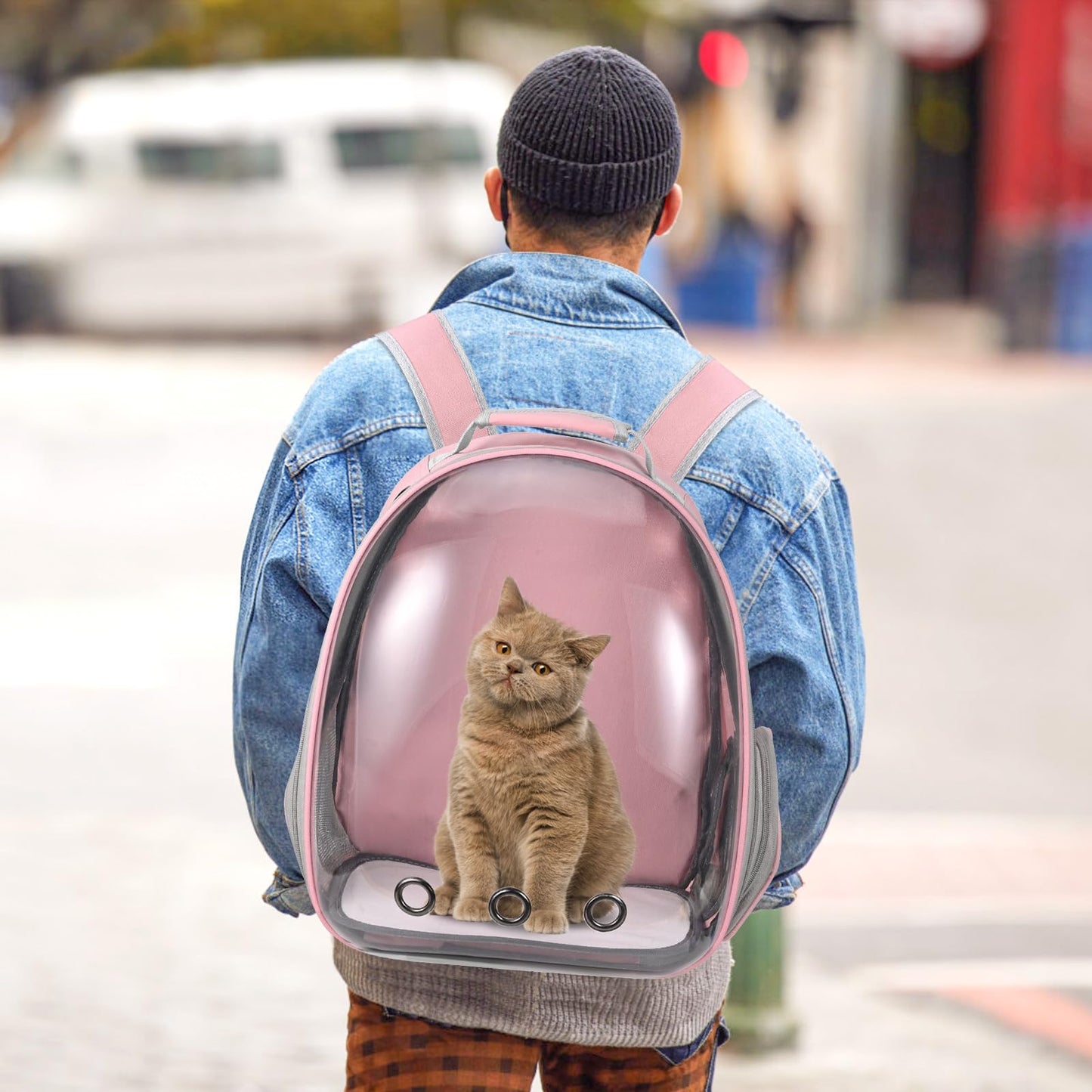 Cat Carrier Backpack. Chosen for real quality, fits naturally into modern pet homes.