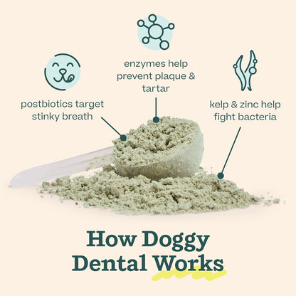 WOOF Dental Kit- Includes Pupsicle Dog Toy, Treat Tray, Shaker Bottle, Chicken Pupsicle Pops, and Dog Teeth Cleaning Powder - Supports Oral Health for Dogs - Small