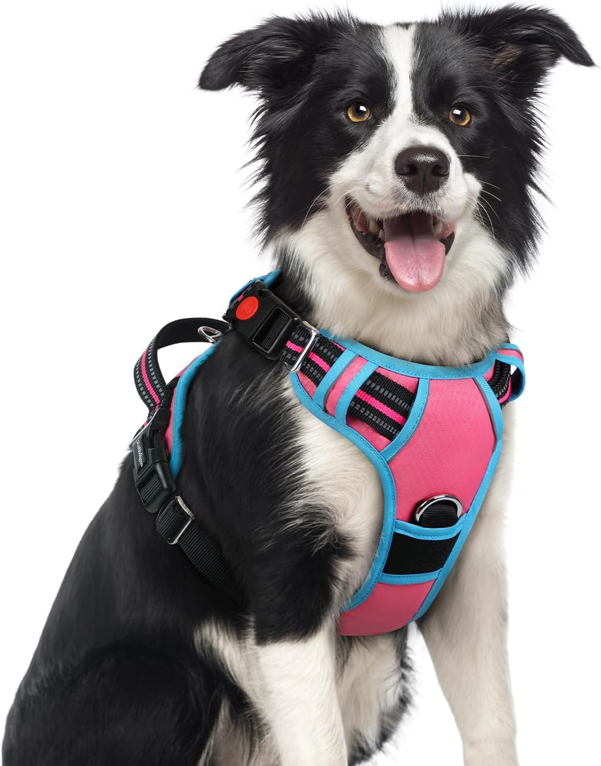 rabbitgoo Dog Harness Medium Sized, No Pull Dog Vest with 3 Buckles, Adjustable Soft Padded Pet Harness with Easy Control Handle and Reflective Strips, Rose Pink & Blue, M