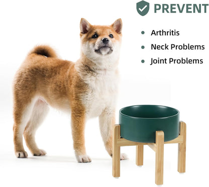 Ceramic Elevated Dog Bowl Set, Food and Water Bowl for Medium Dogs, Weighted Dishes, Green (7.3'', 41OZ)