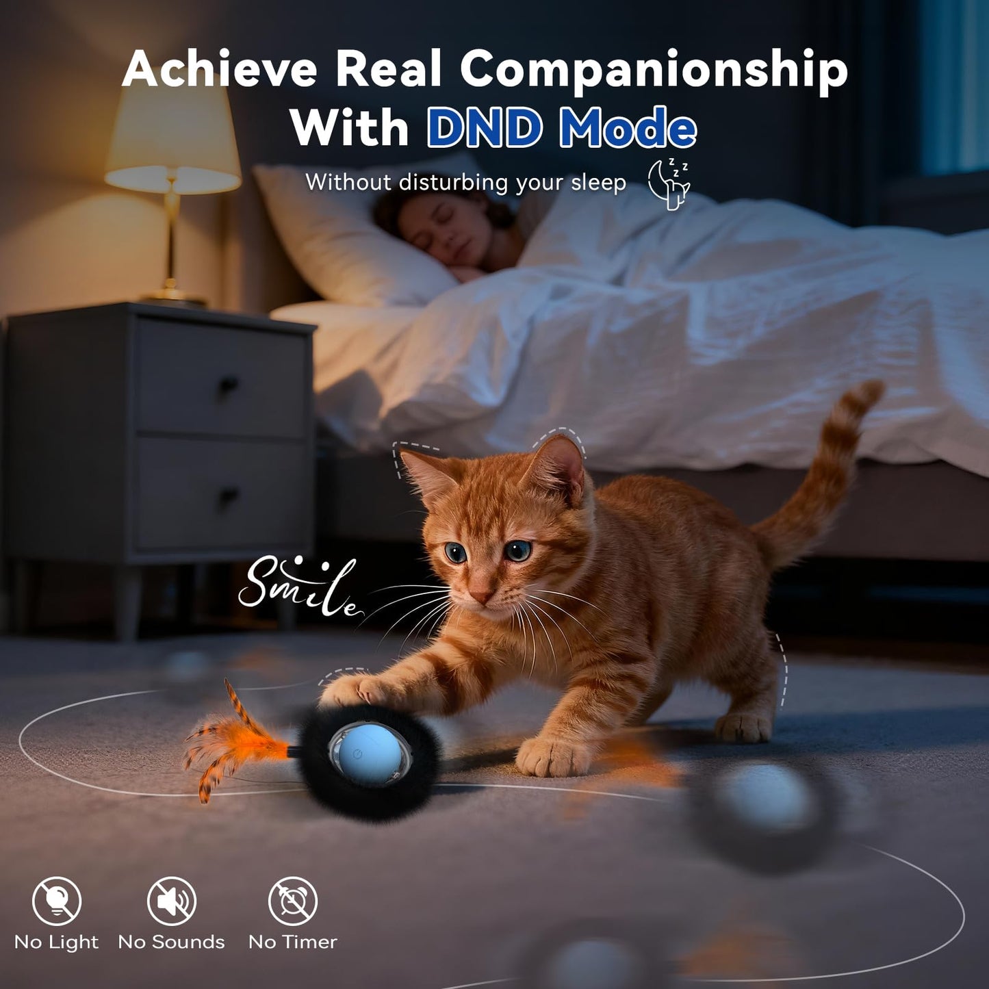 Interactive Cat Toy for Indoor Cats. Chosen for real quality, fits naturally into modern pet homes.