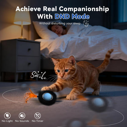 Interactive Cat Toy for Indoor Cats. Chosen for real quality, fits naturally into modern pet homes.