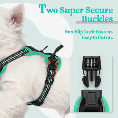 rabbitgoo Dog Harness No Pull with 2 Leash Clips, Adjustable Soft Padded, Reflective Oxford No Choke Pet Vest with Easy Control Handle for Puppy, Black & Turquoise, XS