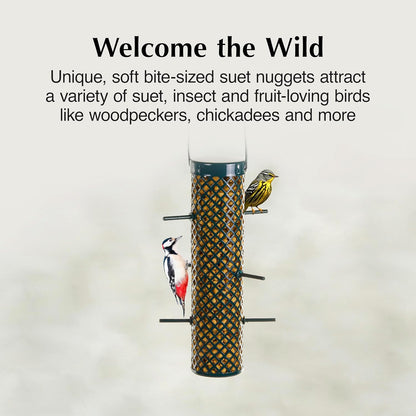 C&S Sunflower Suet Nuggets, Suet Nuggets for Wild Birds, 27 Ounces