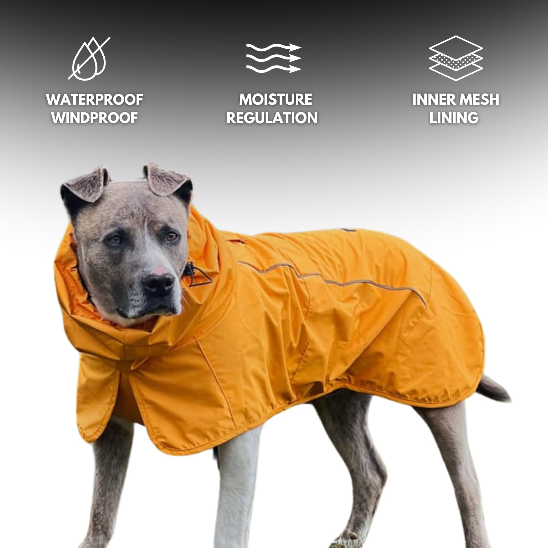 Spark Paws Dog Raincoat. Chosen for real quality, fits naturally into modern pet homes.