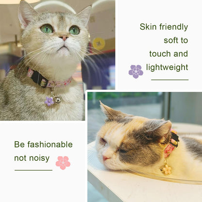 Yizepet Cat Collars with Bells. Chosen for real quality, fits naturally into modern pet homes.