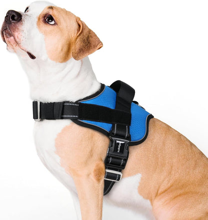 rabbitgoo Dog Harness for Large, Easy On Pet Vest with One Buckle, No Pull Adjustable Service Harness with D-Ring & Handle, Reflective for Safety Walking, Training, Blue, L