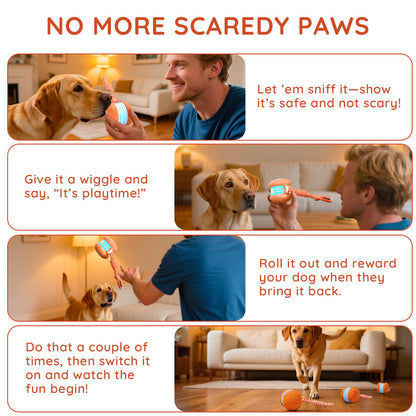 QGI Interactive Dog Ball. Chosen for real quality, fits naturally into modern pet homes.