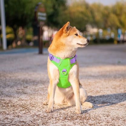 PHOEPET No Pull Dog Harness, Unique Colors Reflective Adjustable Dog Vest, with Soft Training Handle Metal Clips for Small Medium Large Dogs (Green Base & Purple Straps,M)