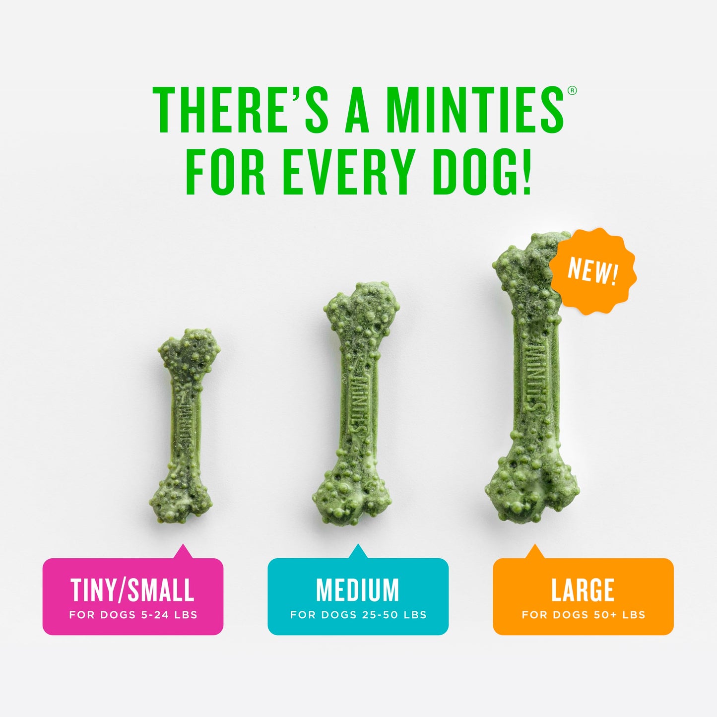 Minties Dental Chews for Dogs. Chosen for real quality, fits naturally into modern pet homes.