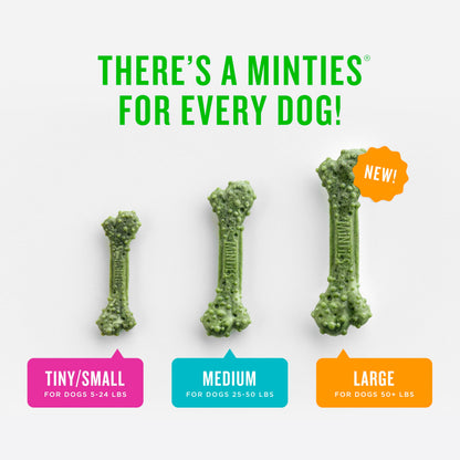 Minties Dental Chews for Dogs. Chosen for real quality, fits naturally into modern pet homes.