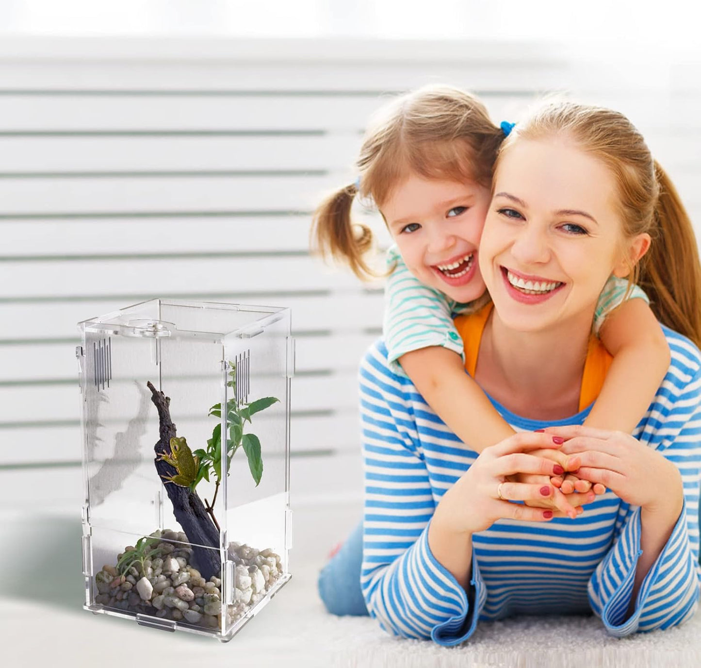 BETAZOOER Acrylic Mini Reptile Tank Habitat Transparent Terrariums with Locking Latch Suitable for Tarantula Isopod Roach Invertebrates (8''x6''x14'')