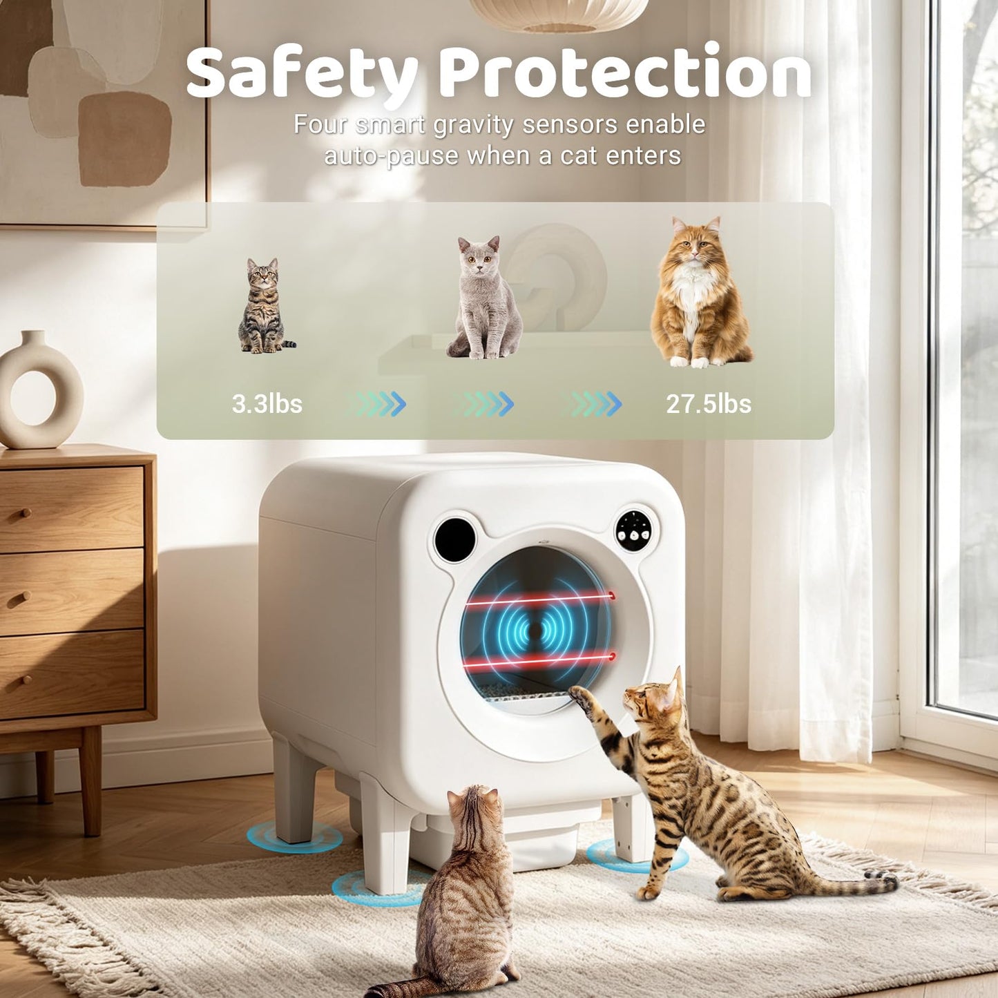 Self Cleaning Litter Box. Chosen for real quality, fits naturally into modern pet homes.