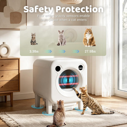 Self Cleaning Litter Box. Chosen for real quality, fits naturally into modern pet homes.