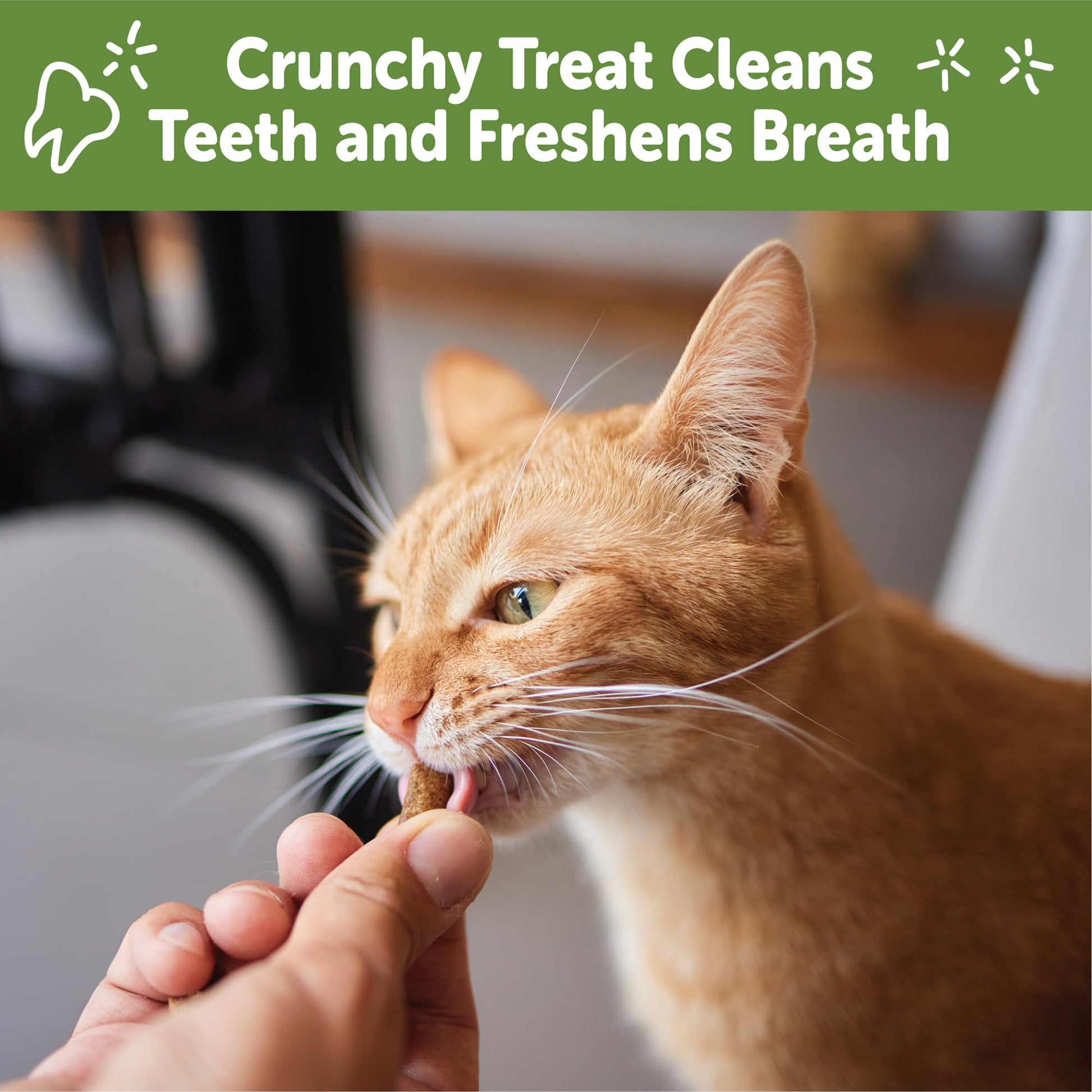 Wellness WHIMZEES Cat Dental Treats. Chosen for real quality, fits naturally into modern pet homes.