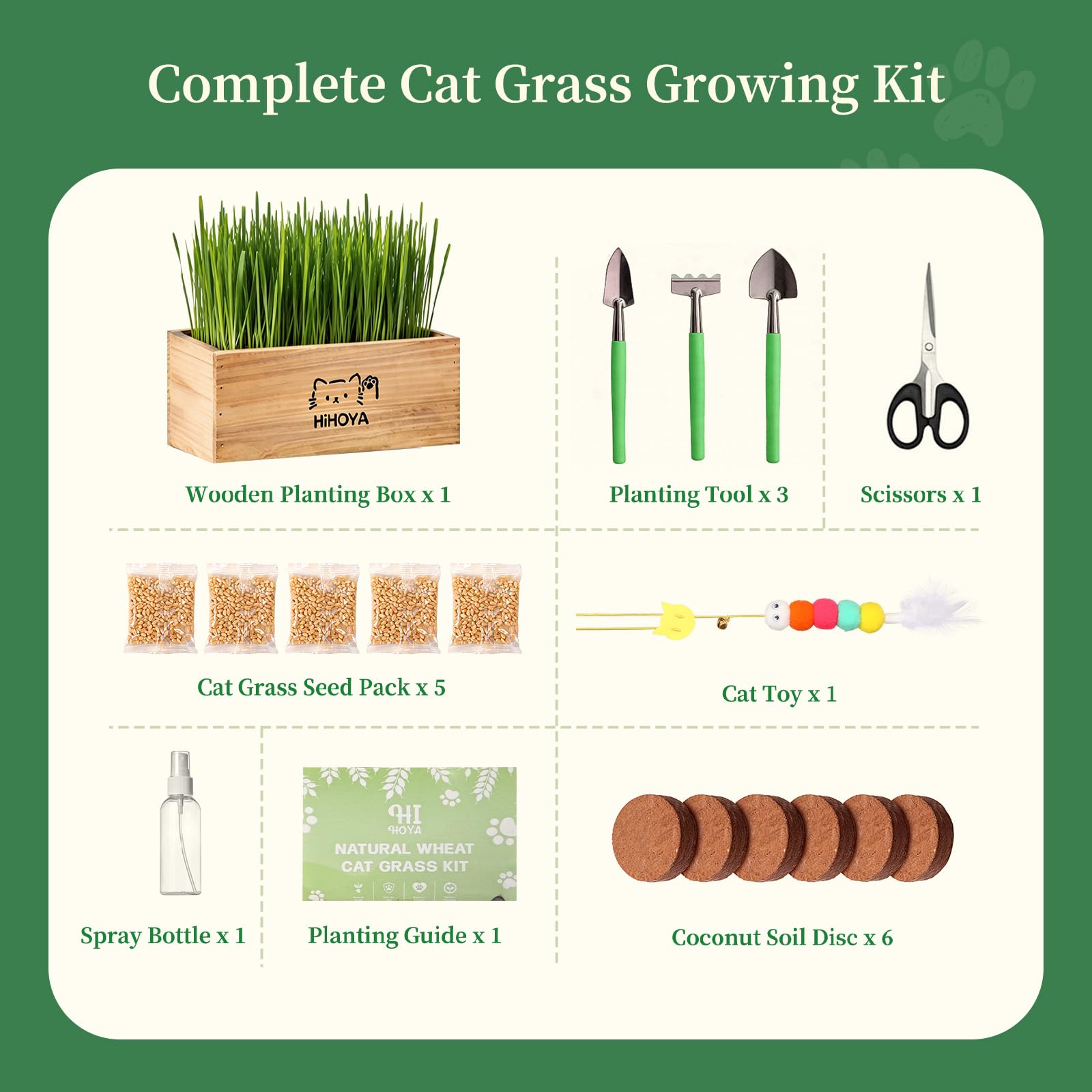 HiHOYA Cat Grass Kit for Indoor Cats. Chosen for real quality, fits naturally into modern pet homes.