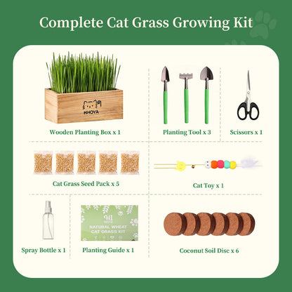 HiHOYA Cat Grass Kit for Indoor Cats. Chosen for real quality, fits naturally into modern pet homes.