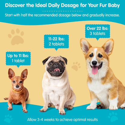 Wanderfound Pets Same 100 Liver Support for Dogs - Same S-Adenosyl-L-Methionine Hepatic Supplement for Liver & Brain Support - Bacon Flavored Sam E, Manufactured in The USA - 30 Chewable Tablets