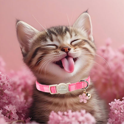 Babole Pet 2 Pack Pink Cat Collars. Chosen for real quality, fits naturally into modern pet homes.