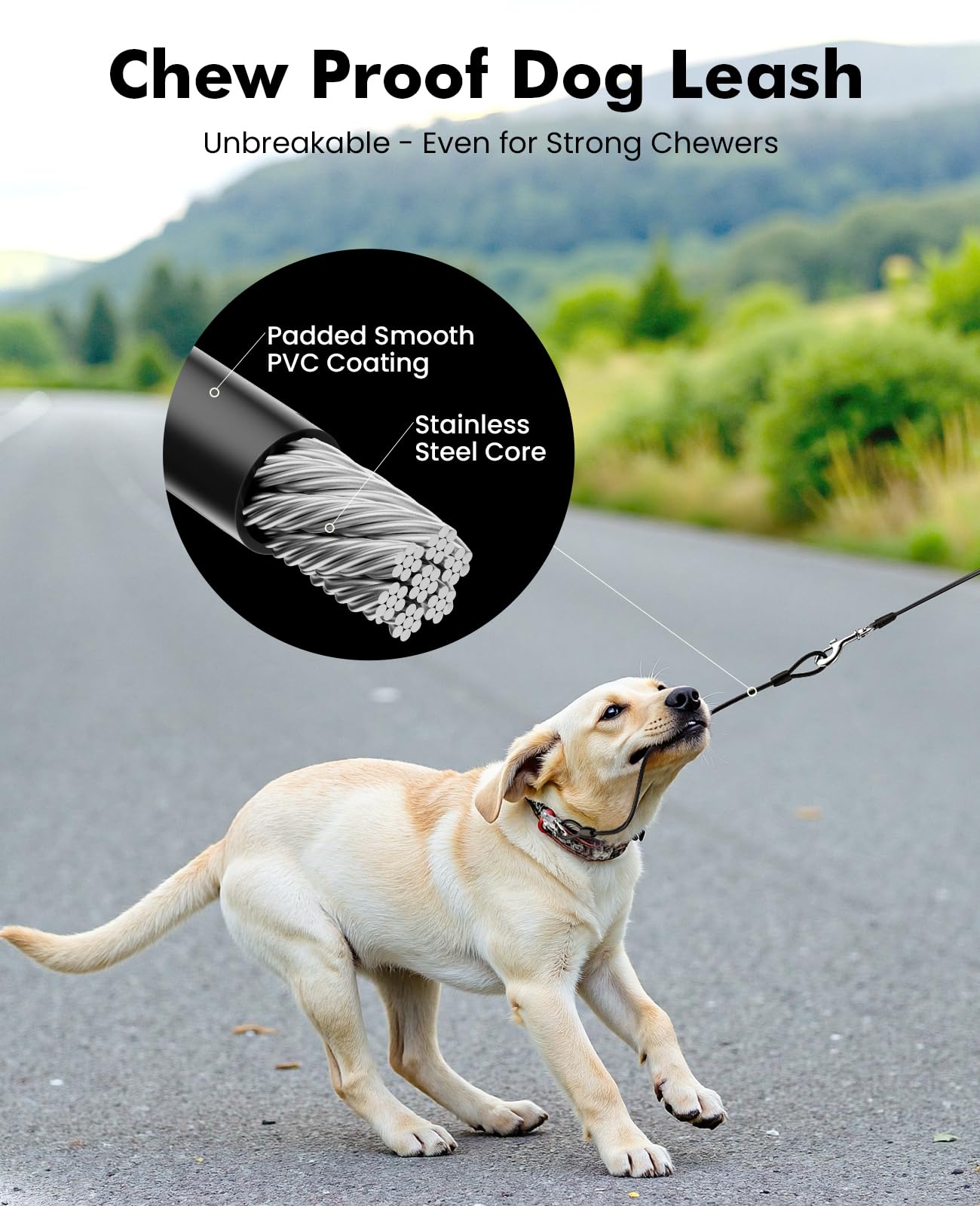 Pecute Retractable Dog Leash 26ft with Chew Proof. Chosen for real quality, fits naturally into