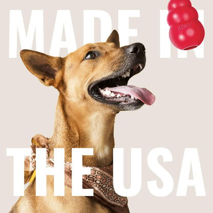 KONG Ring. Chosen for real quality, fits naturally into modern pet homes.