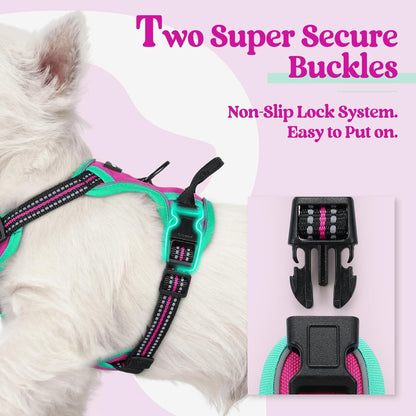 rabbitgoo Dog Harness No Pull with 2 Leash Clips, Adjustable Soft Padded, Reflective Oxford No Choke Pet Vest with Easy Control Handle for Large Dogs, Hot Pink & Turquoise, XS