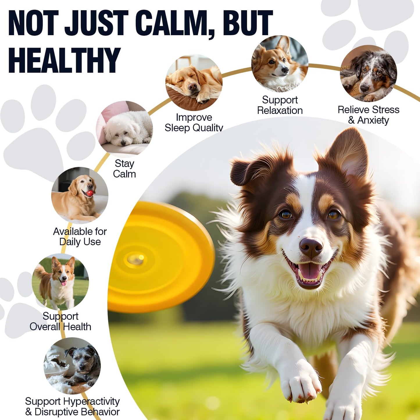 Calming Chews for Dogs 200ct. Chosen for real quality, fits naturally into modern pet homes.