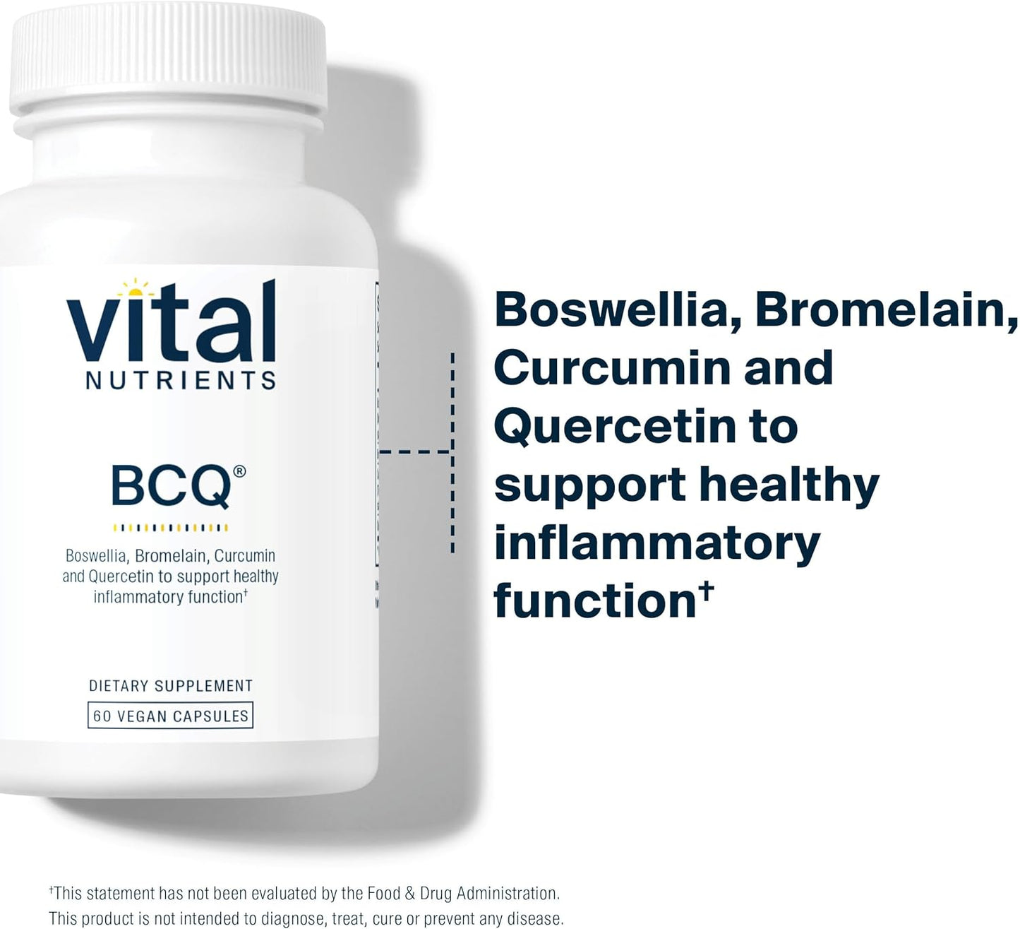 Vital Nutrients BCQ | Vegan Boswellia, Bromelain, Curcumin & Quercetin Supplement | Joint Support Supplement | Supports Sinus & Digestive Health | Gluten, Dairy, Soy Free | 60 Capsules