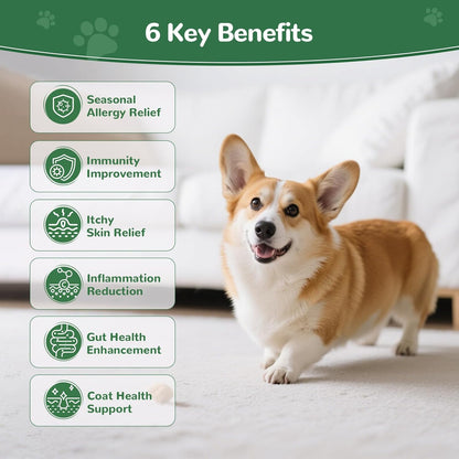 Dog Allergy Chews, 30PCS Dog Itching Skin Relief with Probiotics Omega 3, Allergy Relief for Dogs Itching Licking Paws, Support Seasonal Allergy, Gut & Digestive Health and Immune System