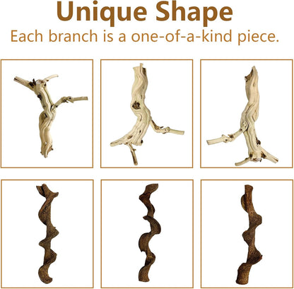 BNOSDM Reptile Branches, 15-17inch Snake Climbing Branch, Terrarium Wood Branch Decor, Bearded Dragon Tank Climbing Accessories for Lizard, Gecko, Chameleon, Frog, 2Pcs