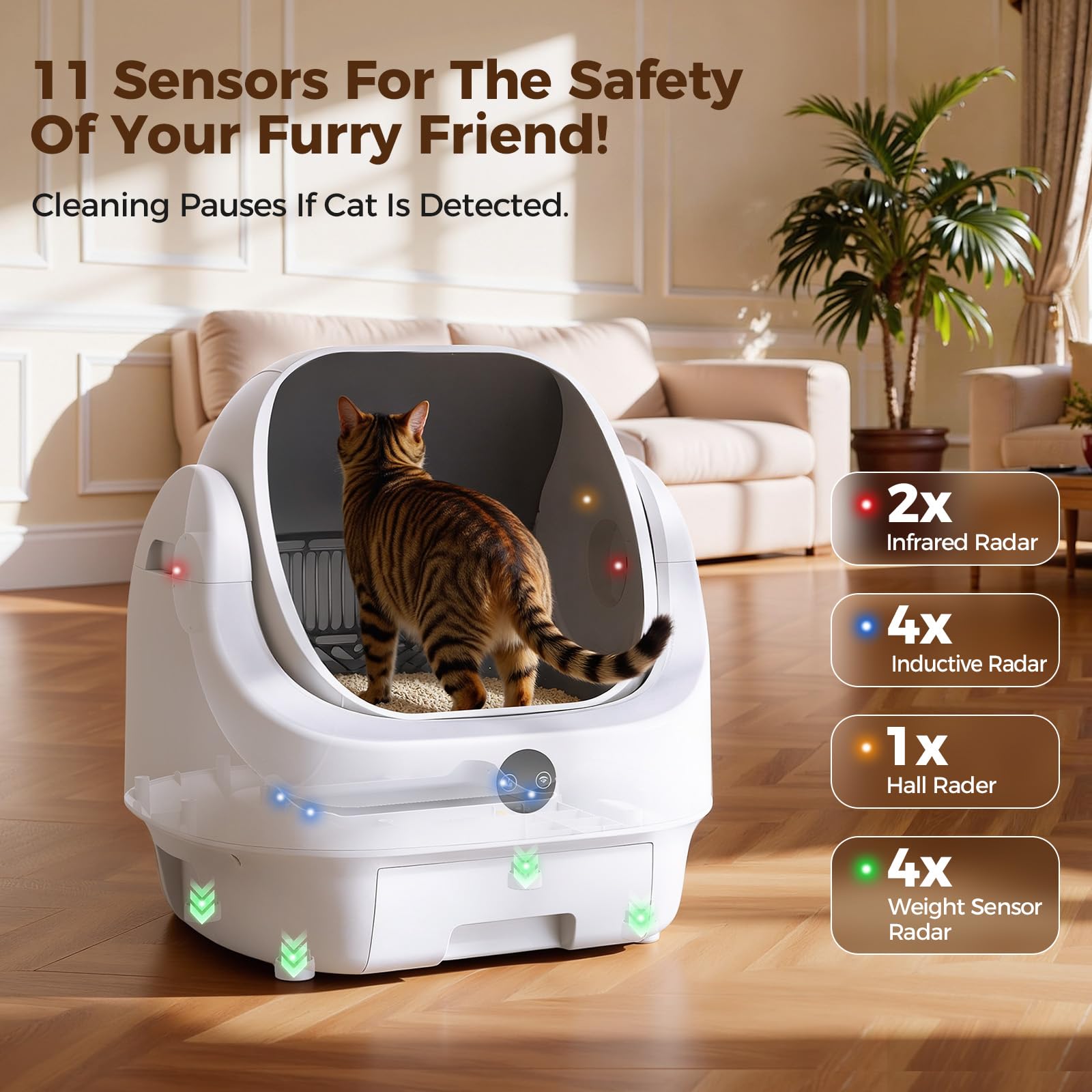 Open. Chosen for real quality, fits naturally into modern pet homes.