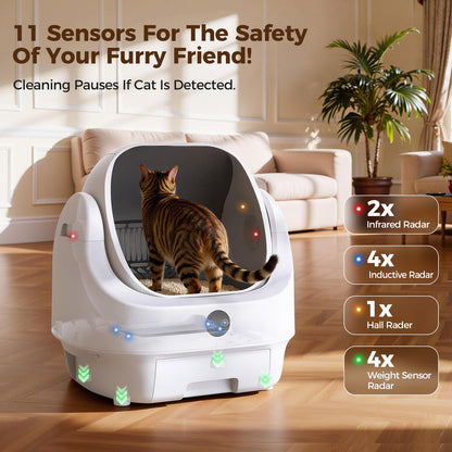 Open. Chosen for real quality, fits naturally into modern pet homes.
