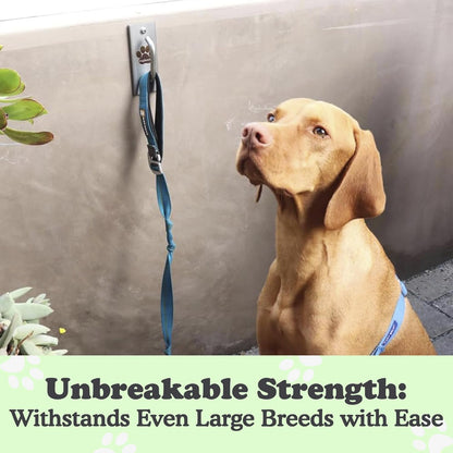 Canine Hitch- Secure Dog Leash Parking Mounted Indoor – Outdoor Wall Hook - Tie Out Stainless Steel Practical Lead Management for Home & Business, Standard Size