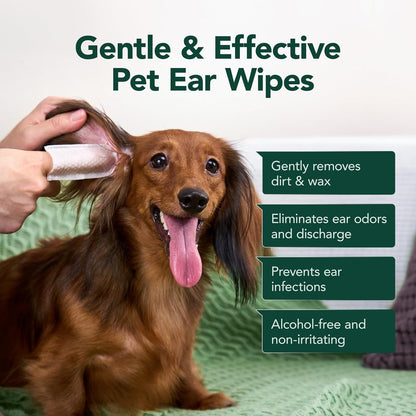 Dog Ear Cleaner Wipes, Dog Ear Infection Treatment, Dog Ear Cleaner, Fast Relief from Ear Itching and Inflammation, Cat Ear Wipes, Gently Remove Ear Wax Debris and Smelly (50 Pcs, Unscented)