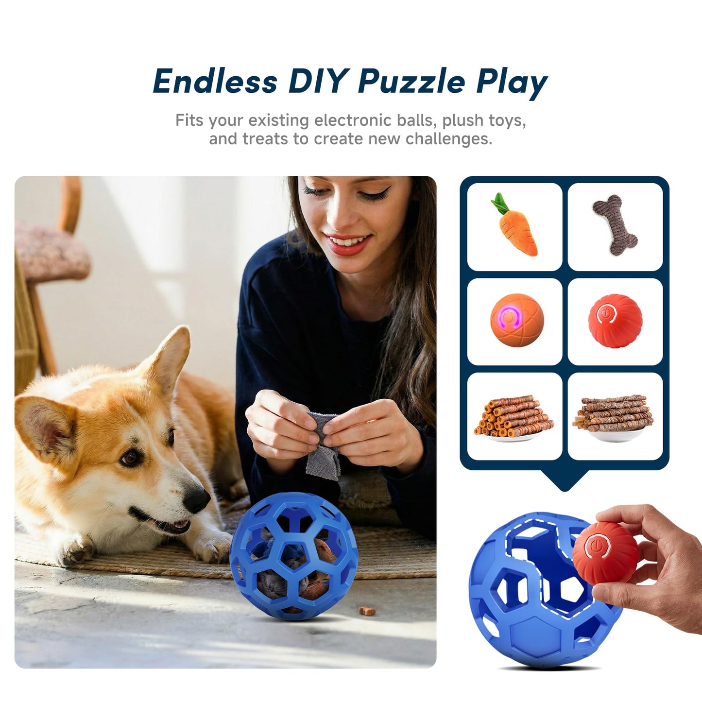 Unique Interactive Dog Toy with Ball. Chosen for real quality, fits naturally into modern pet homes.